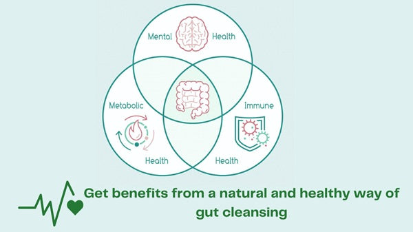 Health benefits of gut cleansing