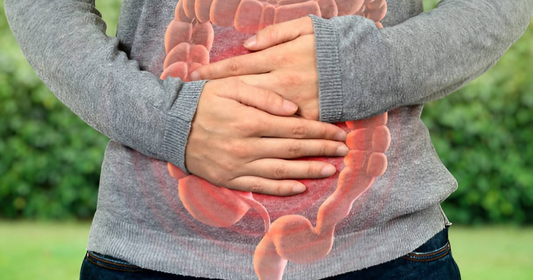 Why Does Your Gut Health Matter and How Can It Be Fixed?